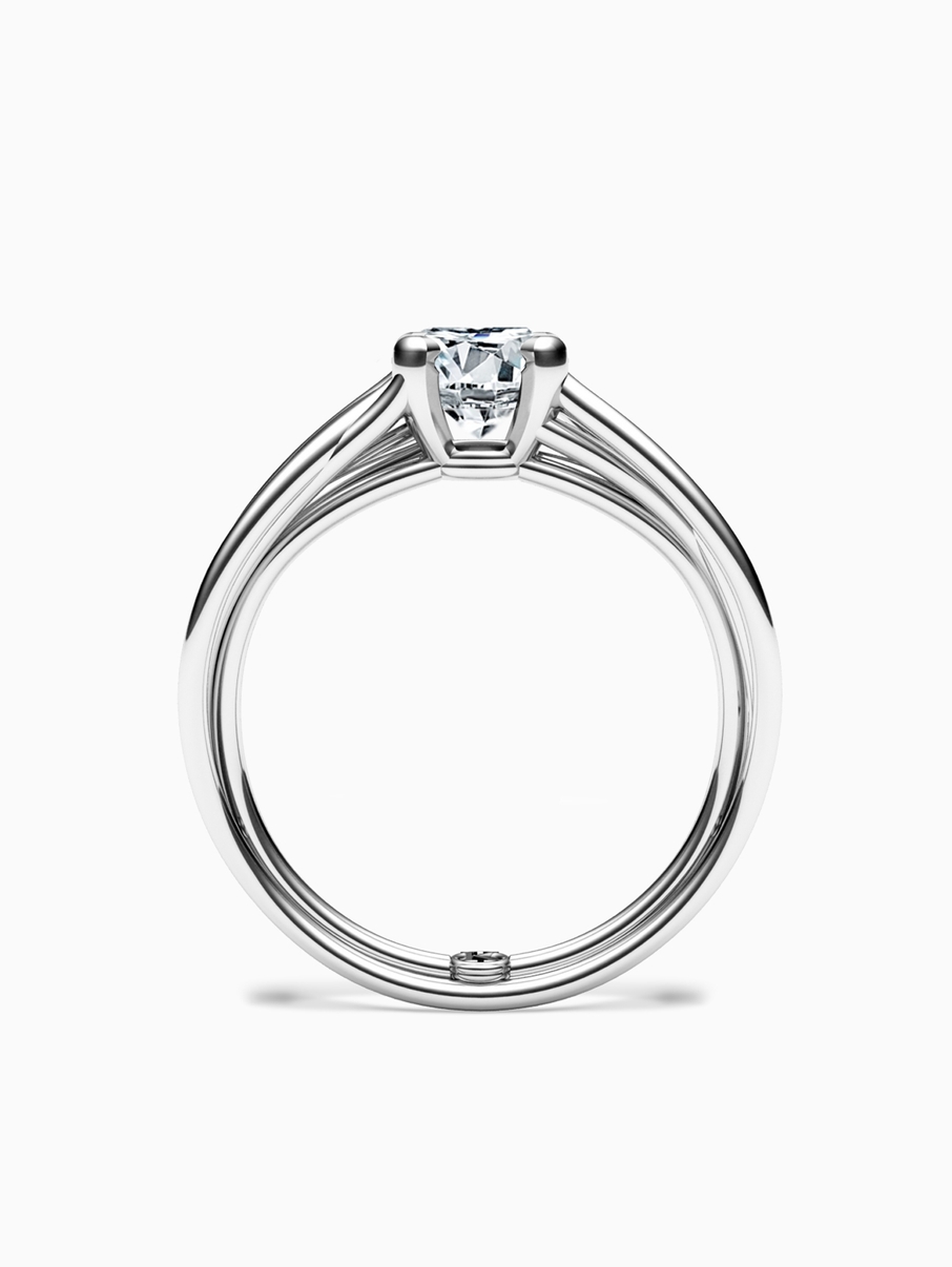 ZÁSNUBNÝ PRSTEŇ WILD 013