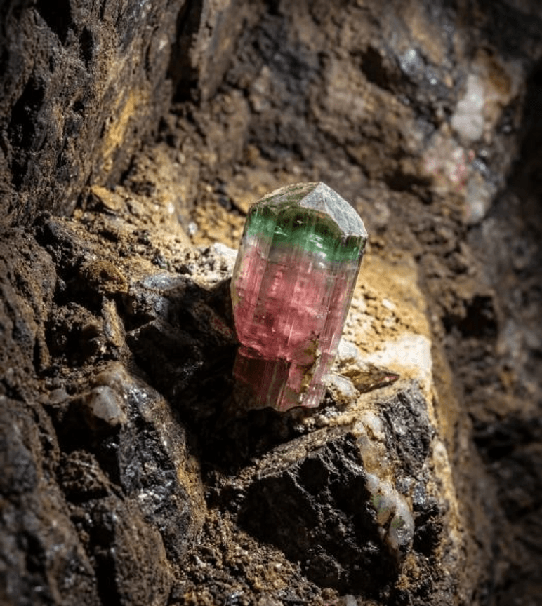 Nerost bikolorniho turmalinu
